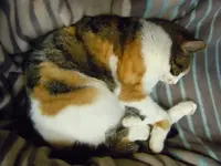 Mieze10-12-11-2759.webp