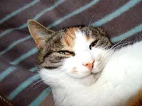 Mieze10-12-11-2786.webp