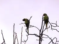 P1040610.webp