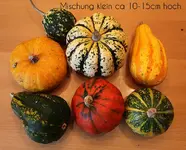 MC1068.webp