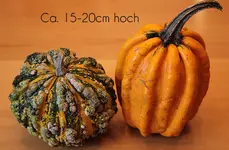 MC1066.webp