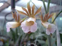 SIMG0031.webp