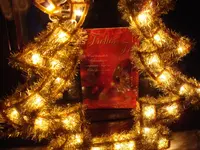 2011 12 12 007.webp