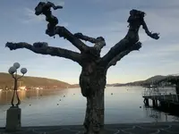 08122011536.webp