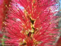 K800_250.webp