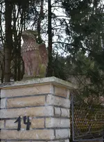 Vogel Greif.webp