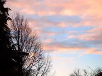 081.webp