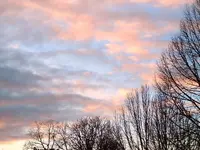 083.webp