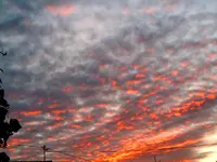 089.webp