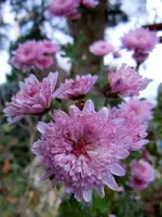 030.webp