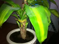 Photology_Image_1 (1).webp
