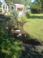 Staudenbeet.webp