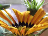 DSCF1467.webp