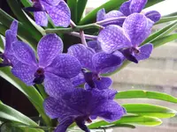 DSCF1468.webp