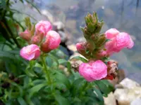 021.webp