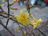 029.webp