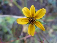 047.webp