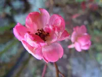 055.webp