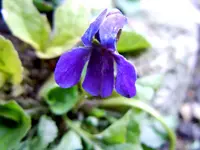 069.webp