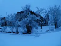 P1010075.webp