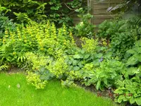 DSCN0462.webp