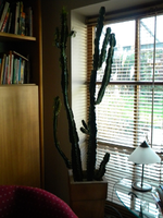 k-1DSCN1220.webp