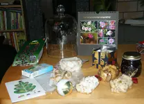DSC07277.webp