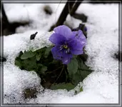 comp_DSC09252.webp