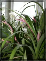 comp_DSC09242.webp