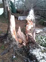 2011-12-18 09.24.53.webp