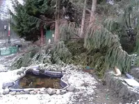 2011-12-18 09.26.07.webp