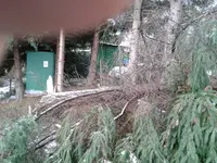 2011-12-18 09.30.42.webp