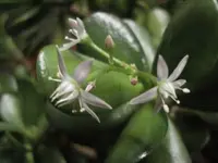 DSC08630.webp