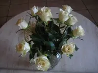 IMG_5844.webp