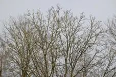 DSC_0314.webp