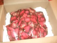 k-DSCF0126.webp