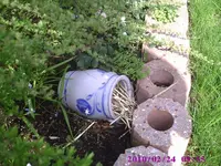 Schadensfall.webp