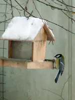 DSCN3591.webp