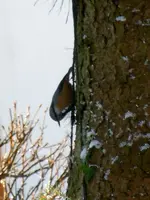 DSCN3691.webp