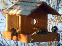 DSCN3640.webp