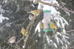 2011_1220winter0025.jpg