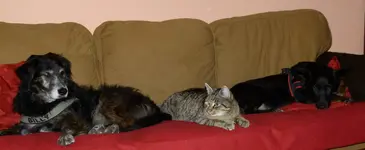carlo-mit-lisa-und-hilde.webp
