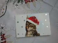Weihnachtskarte 2011 (2).webp
