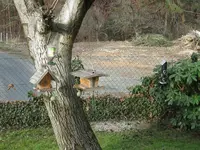 IMG_0130.webp