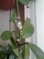 261220113288.webp