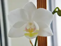 PC260153.webp