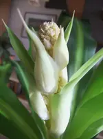 DSCF4413.webp