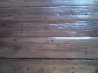 e7511af1.l.webp
