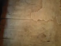 2b25a4bb.l.webp