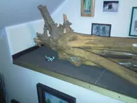 8975c0ea.l.webp